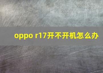 oppo r17开不开机怎么办